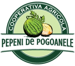 Pepeni de Pogoanele Logo
